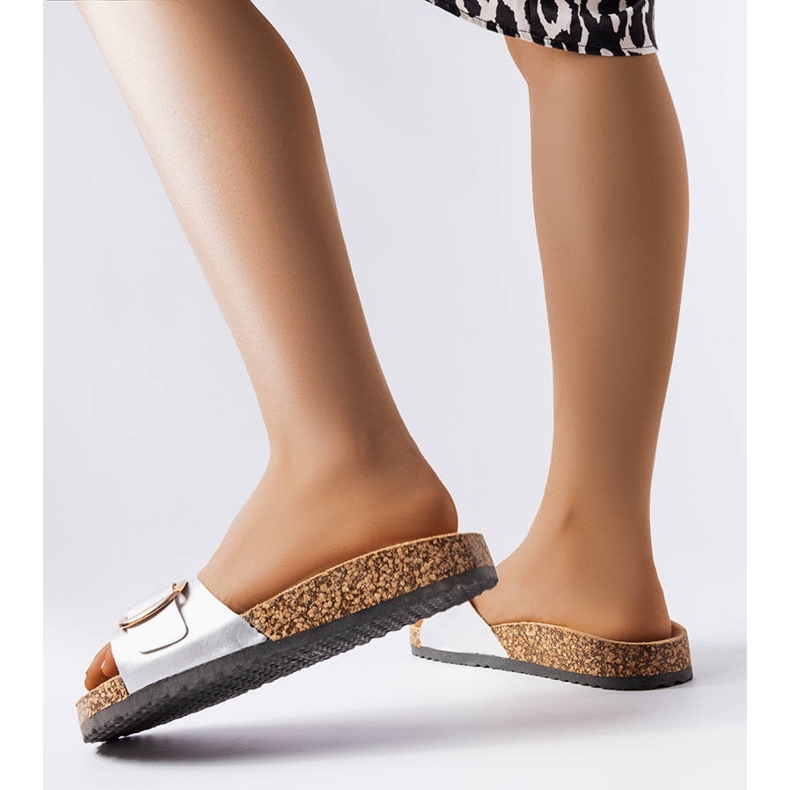 Benoitin hopeanväriset soljen liukusäätimet 1