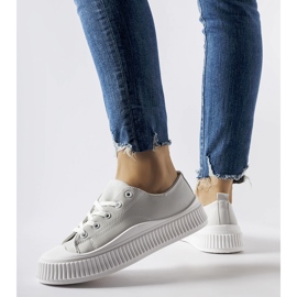 Harmaa Erbezzo alustan lenkkarit 1