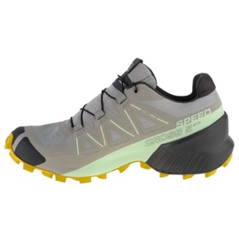 Salomon Speedcross 5 Gtx W 416128 juoksukengät harmaa 1