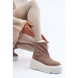 Naisten nahkaiset nilkkurit massiivisella pohjalla, beige Zazoo 3424 1