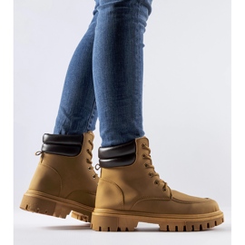 Ruskeat, eristettyjä, mattapintaisia ​​Conroe-työläisiä 2