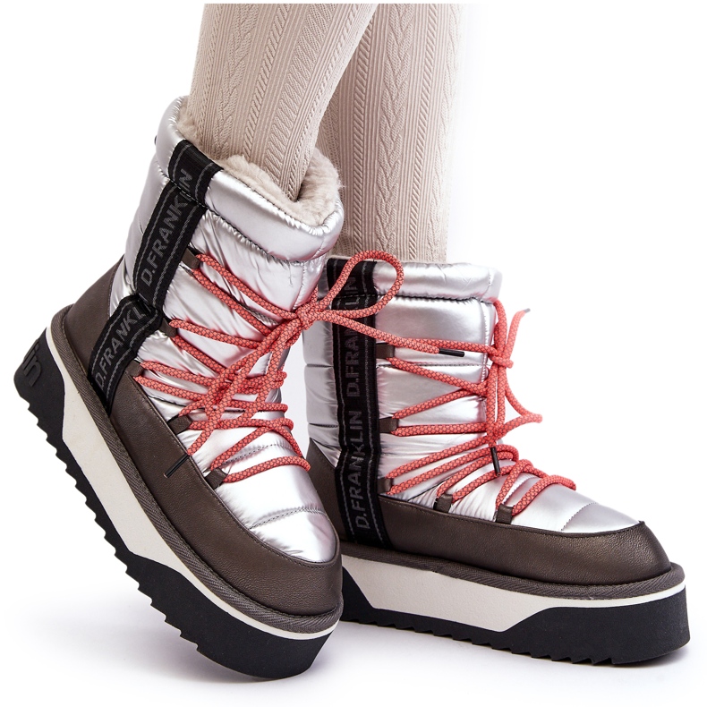 Naisten lumilaskengät paksulla vegaanisella pohjalla D.Franklin DFSH371006 Hopea 5