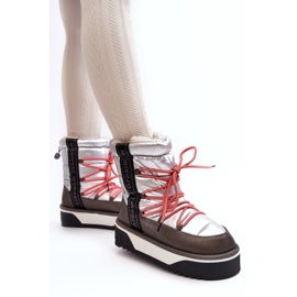 Naisten lumilaskengät paksulla vegaanisella pohjalla D.Franklin DFSH371006 Hopea 1