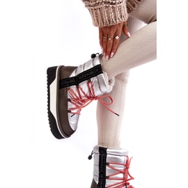 Naisten lumilaskengät paksulla vegaanisella pohjalla D.Franklin DFSH371006 Hopea 2