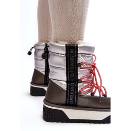 Naisten lumilaskengät paksulla vegaanisella pohjalla D.Franklin DFSH371006 Hopea 3