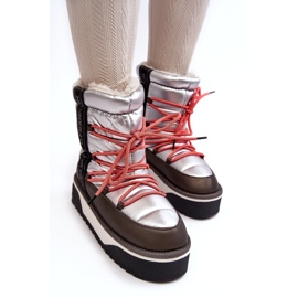 Naisten lumilaskengät paksulla vegaanisella pohjalla D.Franklin DFSH371006 Hopea 4