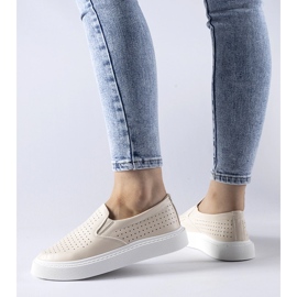 Beiget rei'itetyt Fulda-lenkkarit 1