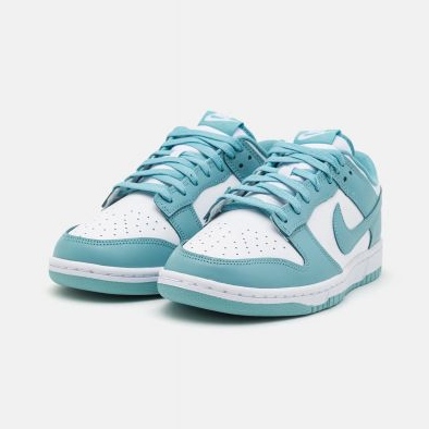 Nike Dunk Low Retro DV0833-106 kengät valkoinen 1