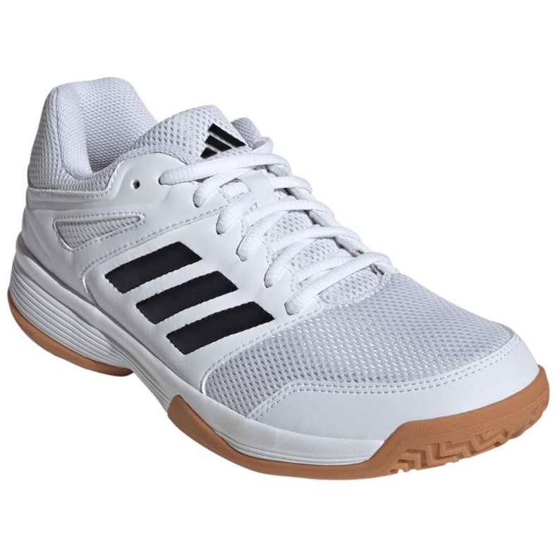 Adidas Speedcourt IH3159 lentopallokengissä valkoinen 1