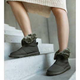 Ediddan vihreät eristetyt lumisaappaat kauluksella 1