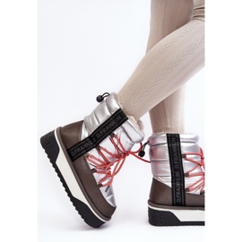 DFSH371006 Hopeanväriset lumikengät 2