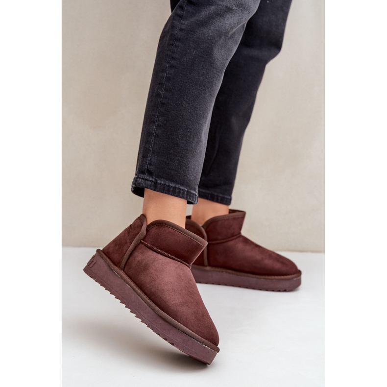 Naisten eristetyt lumisaappaat D.Franklin DFSH370010 ruskea 1