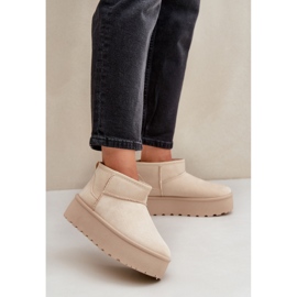 Naisten turkiseristetyt lumisaappaat TL242-8, beige 1