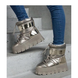 Kultaiset alustalumisaappaat maalatuilla Losta - Solea -sisäkkeillä 1