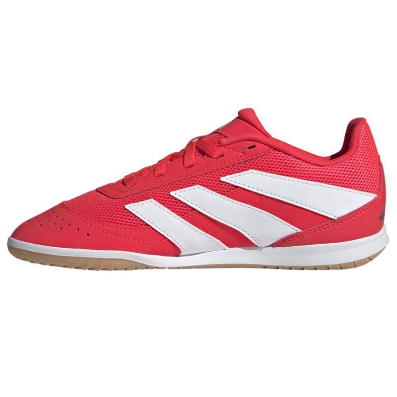 Adidas Predator Club Sala JR3126 Red Shoesissa punainen 1