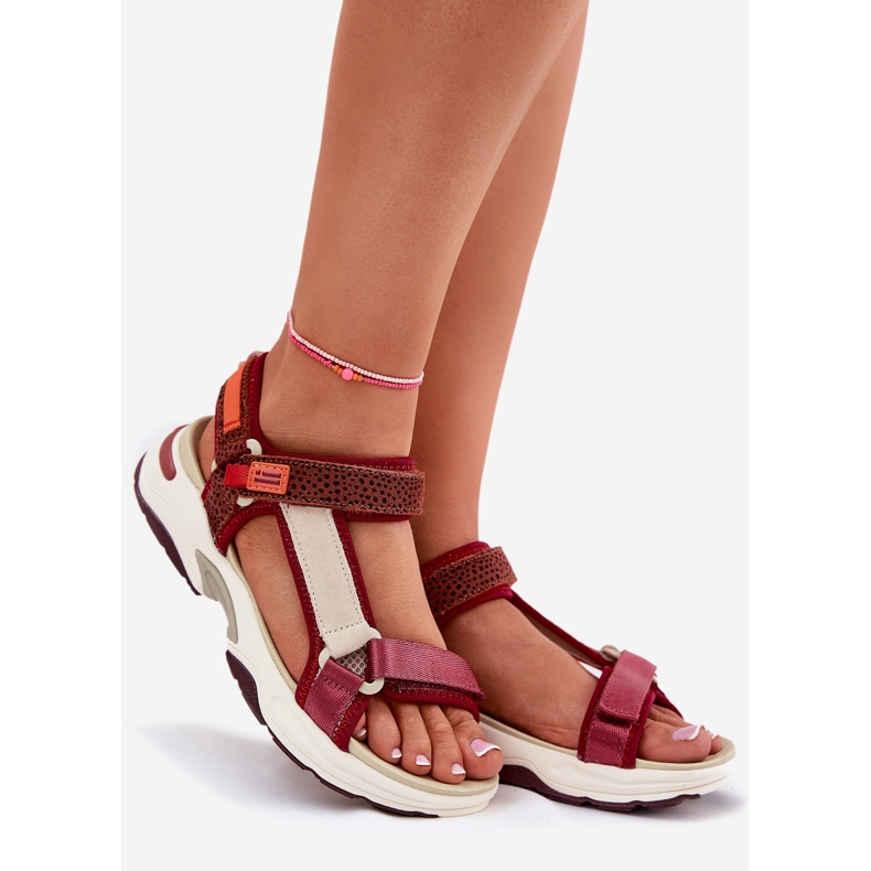 Naisten tarranauhat D.Franklin DFSH406003 Burgundia punainen 1