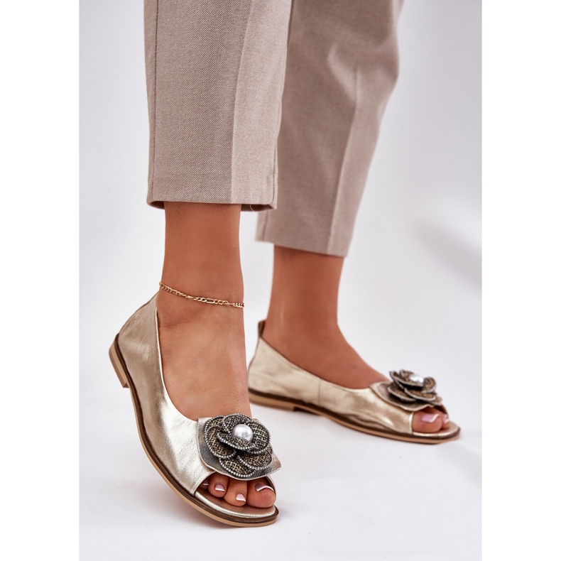 Nahkaballeriinit paljain sormet ja zazoo -kukka 1870 zlotys kultainen 2