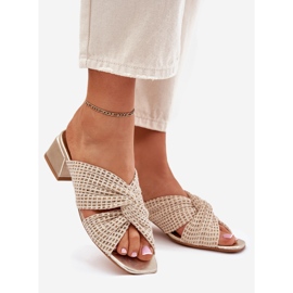 Naisten tossut Maciejka-lohkossa 06955-25 beige-gold 1