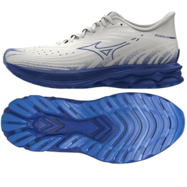 Mizuno Wave Skyrise 6 M J1GC250954 kengät 1