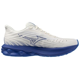 Mizuno Wave Skyrise 6 M J1GC250954 kengät 2