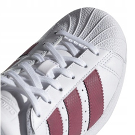 Adidas Originals Superstar Jr CQ2690 kengät valkoinen 1