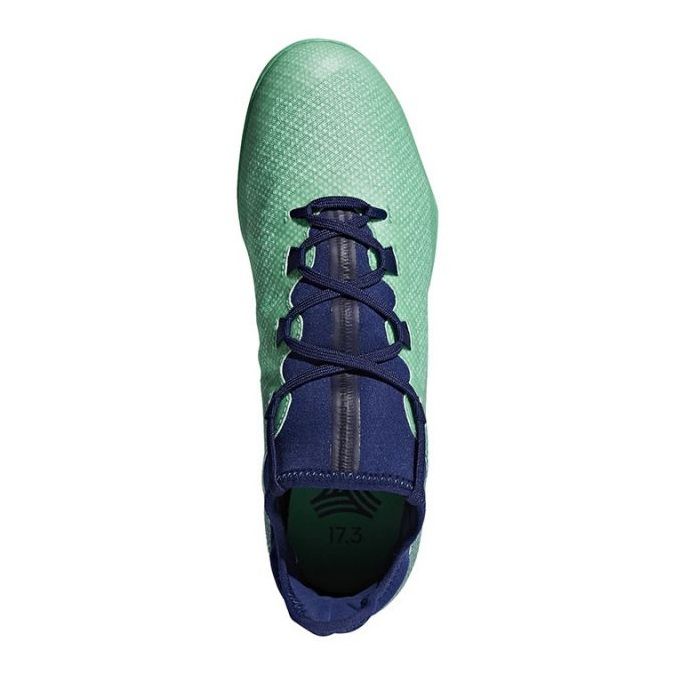 Sisäkengät adidas X Tango 17.3 In M CP9142 turkoosi, sininen vihreä 1