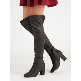 Kayla Harmaat muskettisoturit 2