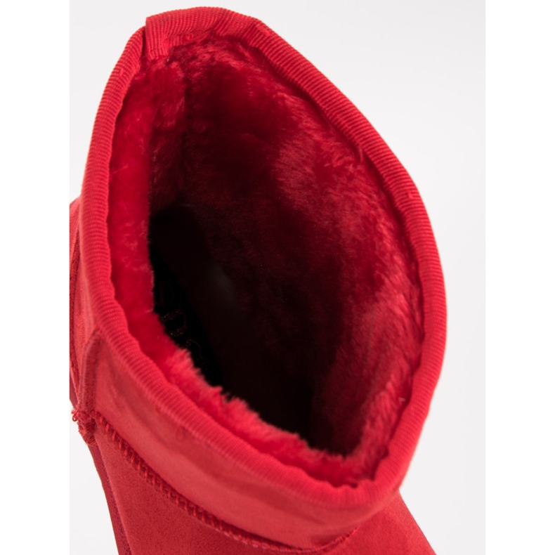 SDS Punaiset limakalvot punainen 1