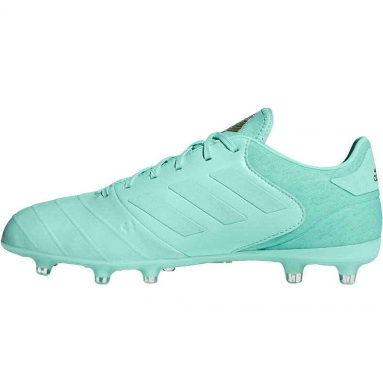 Adidas Copa 18.2 FG M DB2446 jalkapallokengät sininen 2