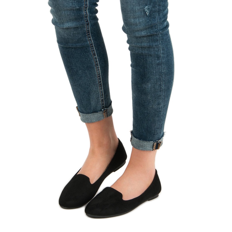 Ch. Creation Suede Lords musta 2