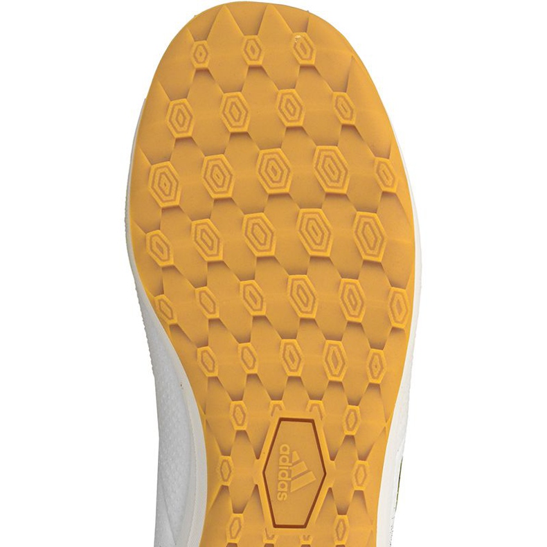 Sisäkengät adidas Ace Tango 17.3 In M CG3707 monivärinen musta 2