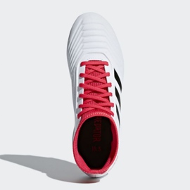 Adidas Predator 18.3 Fg Jr CP9011 jalkapallokengät monivärinen valkoinen 2