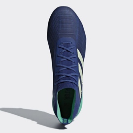 Adidas Predator 18.1 Fg M CM7411 jalkapallokengät sininen sininen 2