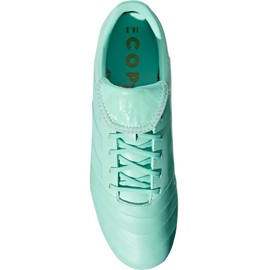 Adidas Copa 18.3 Fg M DB2462 jalkapallokengät sininen sininen 1