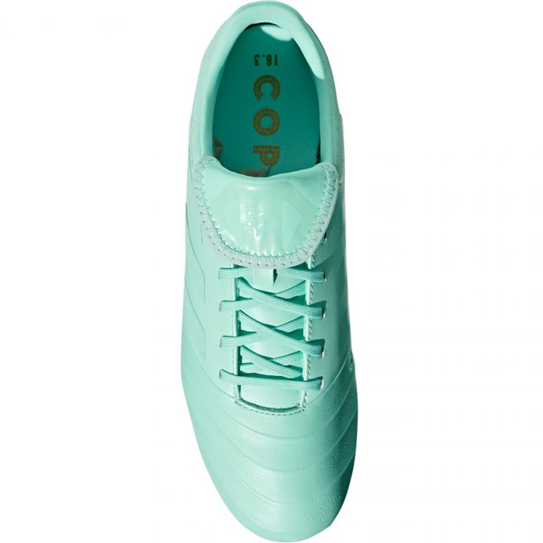 Adidas Copa 18.3 Fg M DB2462 jalkapallokengät sininen sininen 1
