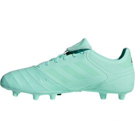 Adidas Copa 18.3 Fg M DB2462 jalkapallokengät sininen sininen 2