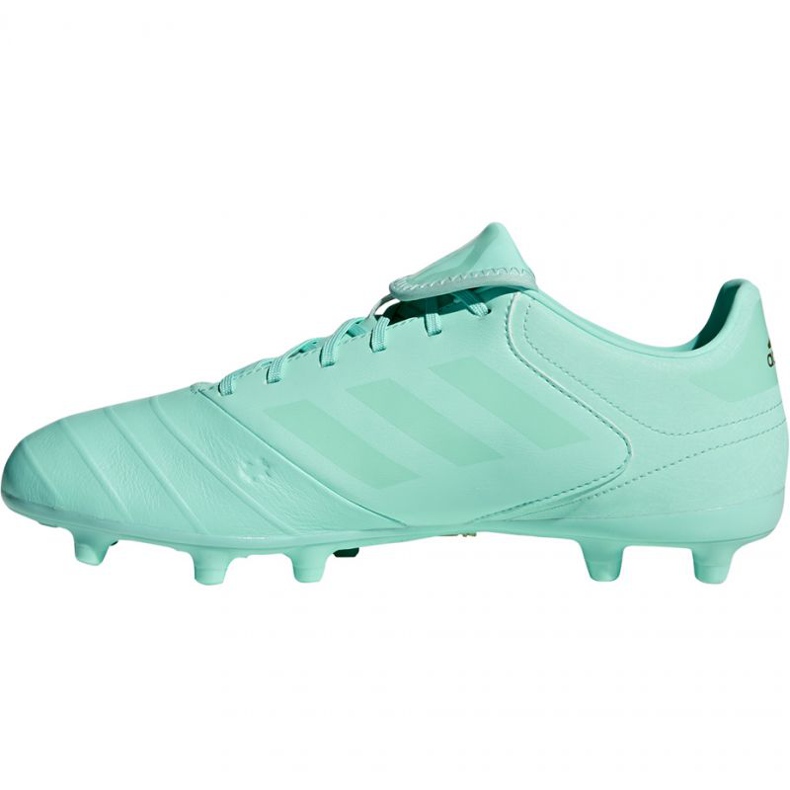 Adidas Copa 18.3 Fg M DB2462 jalkapallokengät sininen sininen 2