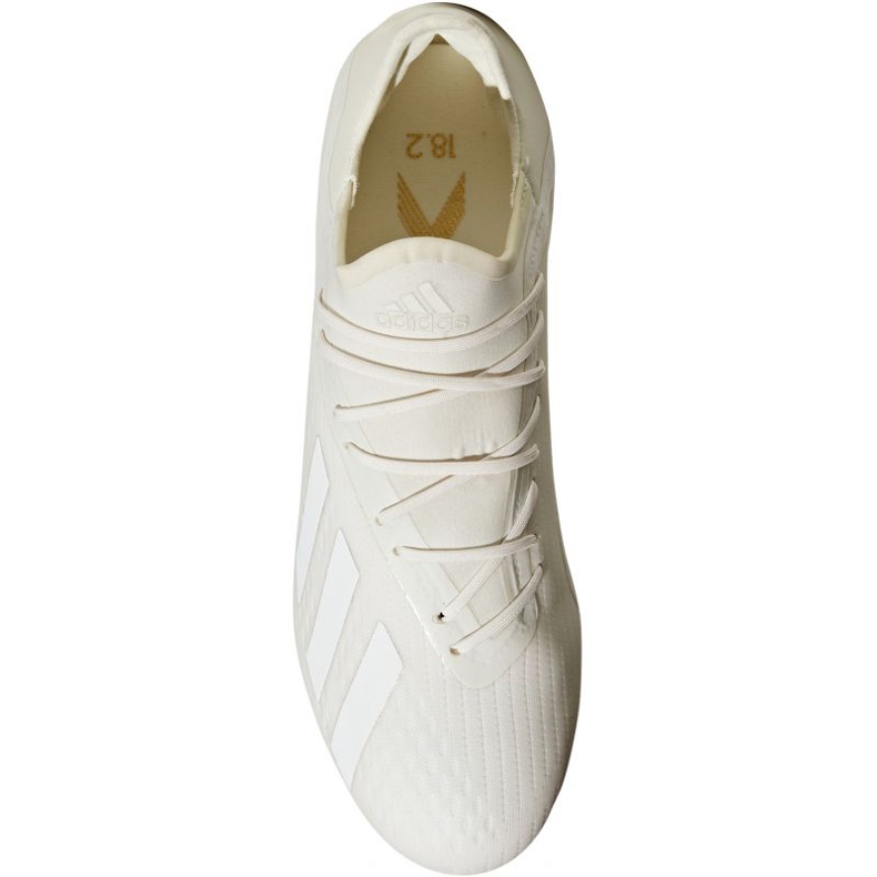 Adidas X 18.2 Fg M DB2181 jalkapallokengät valkoinen valkoinen 2