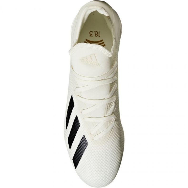 Adidas X Tango 18.3 Tf M DB2474 jalkapallokengät valkoinen valkoinen 1