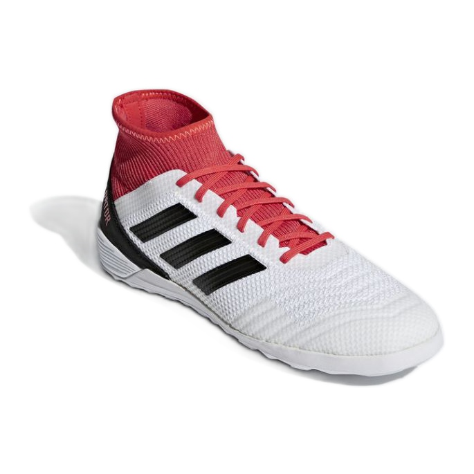 Sisäkengät adidas Predator Tango 18.3 In M CP9929 monivärinen valkoinen 1