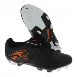 Jalkapallokengät Puma Boca Fg Jr 102532 03 musta musta 1