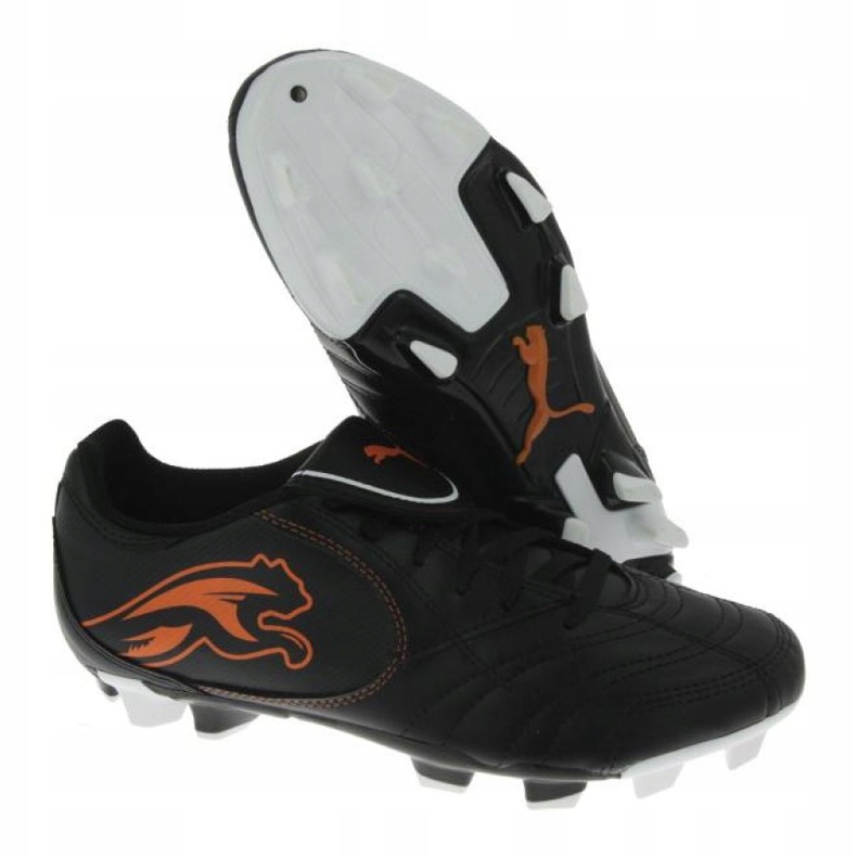 Jalkapallokengät Puma Boca Fg Jr 102532 03 musta musta 1