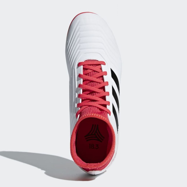 Adidas Predator Tango 18.3 Tf Jr CP9040 jalkapallokengät monivärinen valkoinen 2