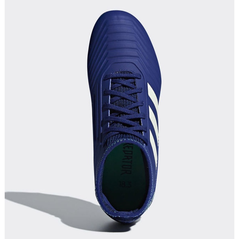 Adidas Predator 18.3 Fg Junior CP9012 jalkapallokengät sininen sininen 2