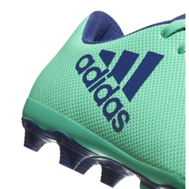 Adidas X 17.4 FxG Jr CP9014 jalkapallokengät sininen vihreä 2