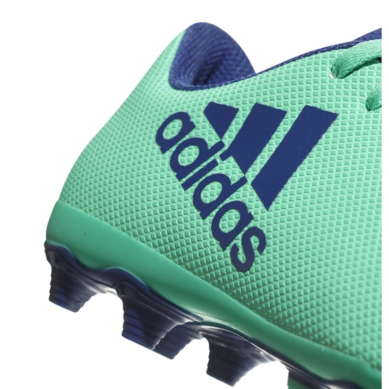 Adidas X 17.4 FxG Jr CP9014 jalkapallokengät sininen vihreä 2