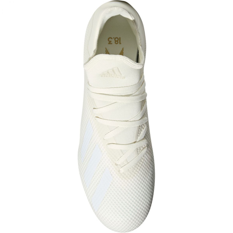 Adidas X 18.3 Fg M DB2184 jalkapallokengät monivärinen valkoinen 2