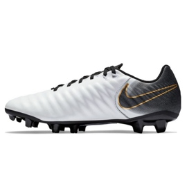 Nike Tiempo Legend 7 Academy Fg M AO2596-100 jalkapallokengät monivärinen hopea 1