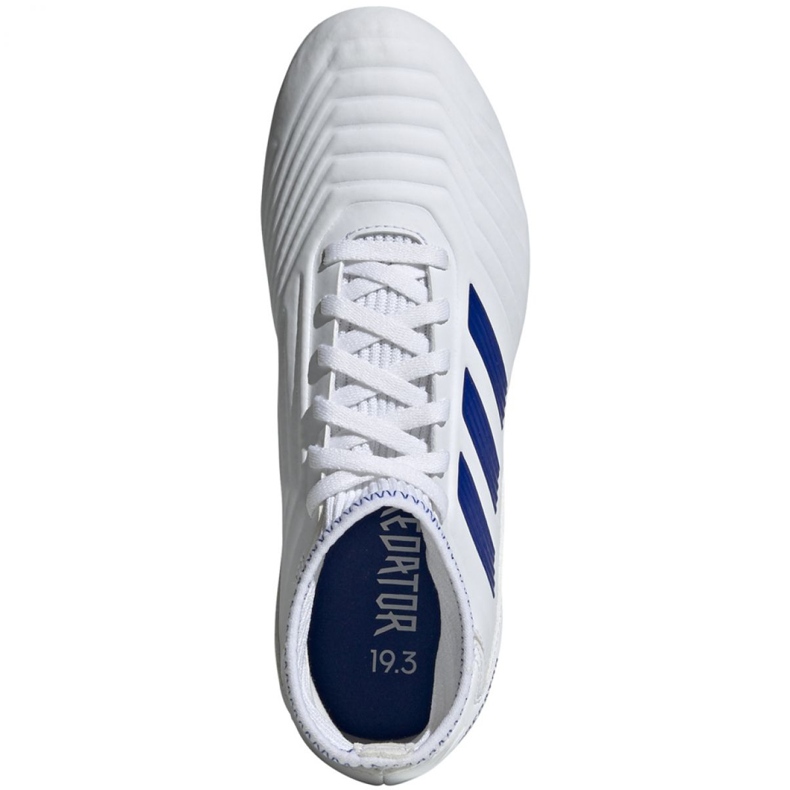 Adidas Predator 19.3 Fg Jr CM8535 jalkapallokengät monivärinen valkoinen 2