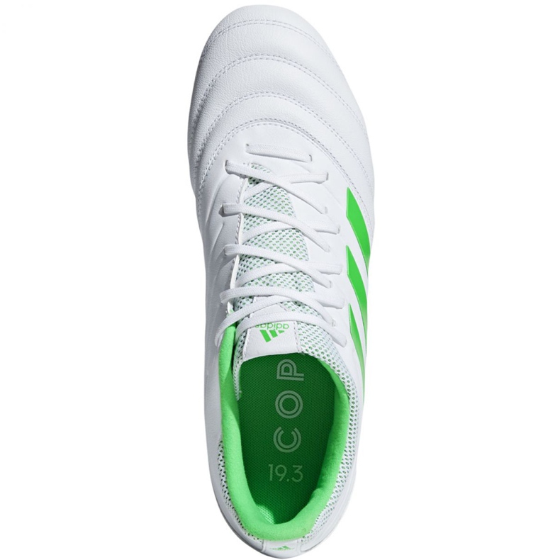 Adidas Copa 19.3 Fg M BB9188 jalkapallokengät sininen valkoinen 2